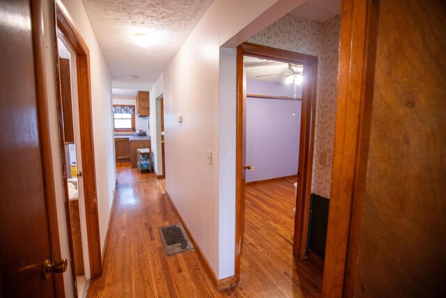 31966 Mccumber Rd, Dexter, OH 45741
