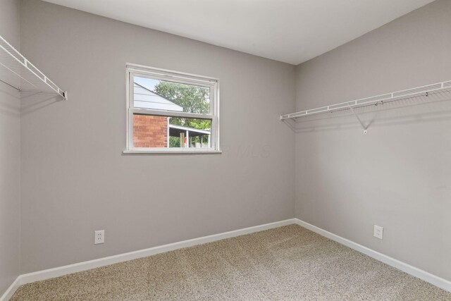4778 Hafey Ave, Columbus, OH 43228 - walk in closet with carpet floors