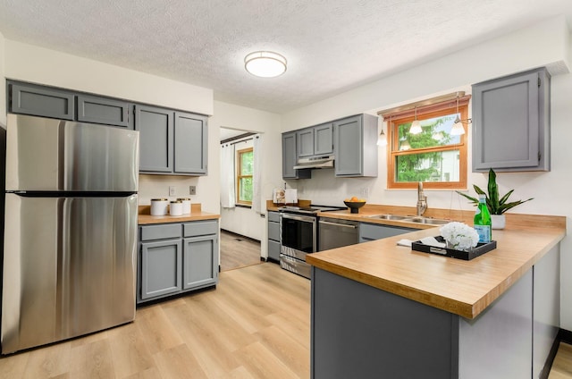 1672 Flat Rock Ct, Columbus, OH 43235 - kitchen with stainless steel appliances, a sink, a peninsula, light wood-style floors, and gray cabinetry