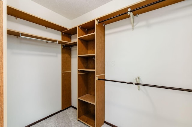 1672 Flat Rock Ct, Columbus, OH 43235 - spacious closet with carpet floors