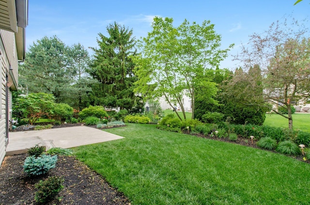 1672 Flat Rock Ct, Columbus, OH 43235 - view of green lawn featuring a patio area