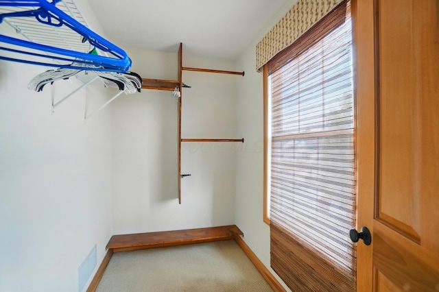 790 Salinger Dr, Lithopolis, OH 43136 - walk in closet featuring carpet