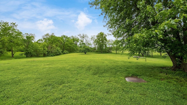 12151 State Route 93 N, Logan, OH 43138 - view of green lawn featuring view of wooded area