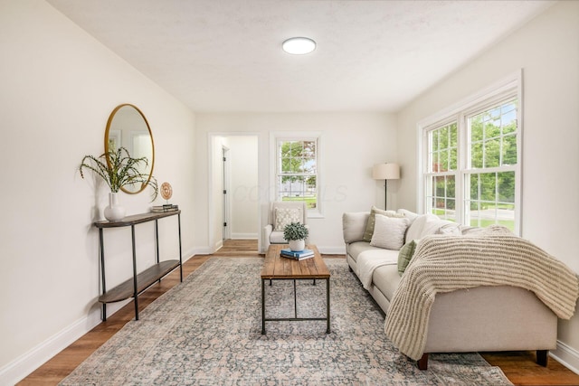 3232 Williams Rd, Columbus, OH 43207 - living area featuring plenty of natural light, baseboards, and wood finished floors
