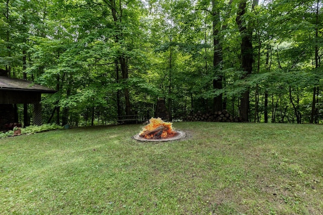 5510 Bowtown Rd, Delaware, OH 43015 - photo 41