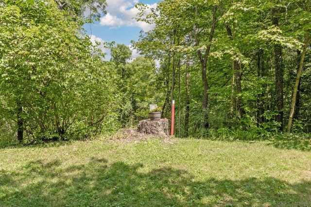 5510 Bowtown Rd, Delaware, OH 43015 - photo 60