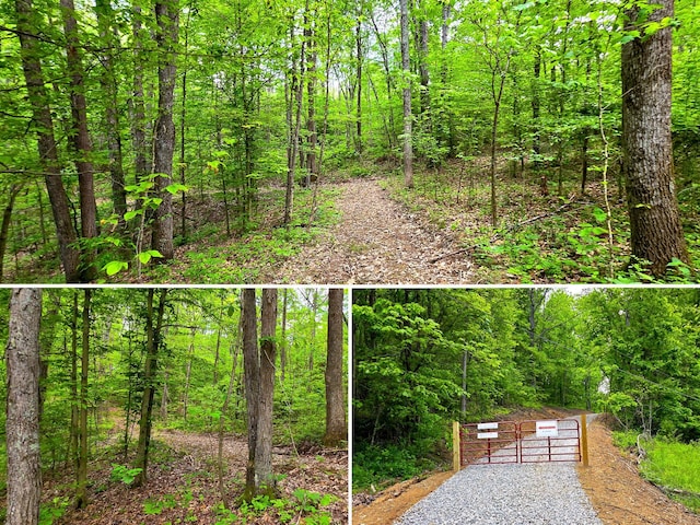 32325 Red Hill Road (Phase I Tract 1A Big Timber), Langsville, OH 45741