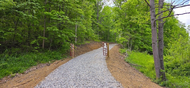 32325 Red Hill Road (Phase I Tract 1A Big Timber), Langsville, OH 45741