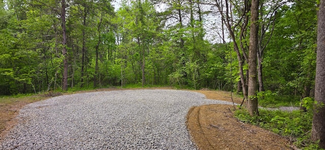 32325 Red Hill Road (Phase I Tract 1A Big Timber), Langsville, OH 45741