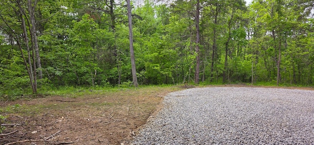 32325 Red Hill Road (Phase I Tract 1A Big Timber), Langsville, OH 45741