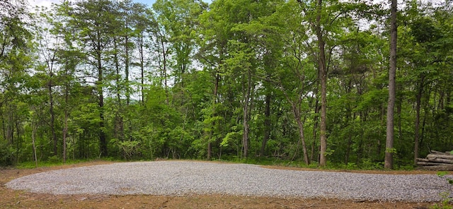32325 Red Hill Road (Phase I Tract 1A Big Timber), Langsville, OH 45741