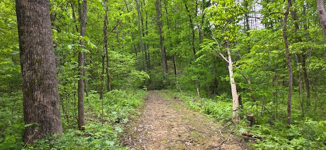 32325 Red Hill Road (Phase I Tract 1A Big Timber), Langsville, OH 45741