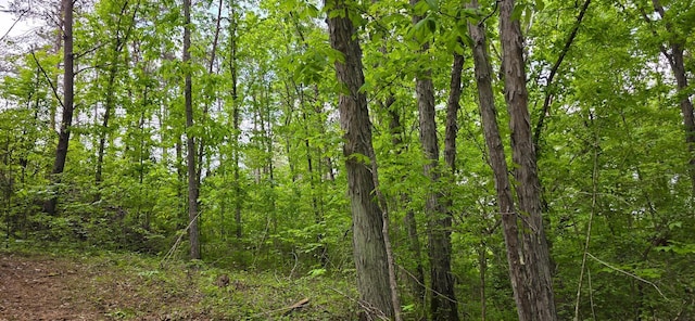 32325 Red Hill Road (Phase I Tract 1A Big Timber), Langsville, OH 45741