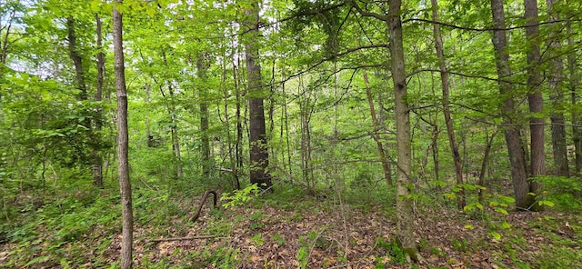 32325 Red Hill Road (Phase I Tract 1A Big Timber), Langsville, OH 45741