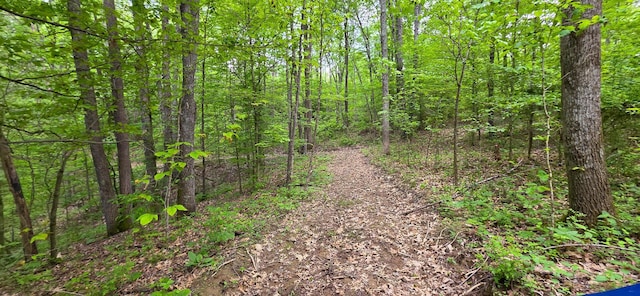 32325 Red Hill Road (Phase I Tract 1A Big Timber), Langsville, OH 45741