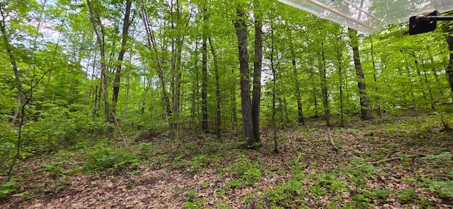 32325 Red Hill Road (Phase I Tract 1A Big Timber), Langsville, OH 45741