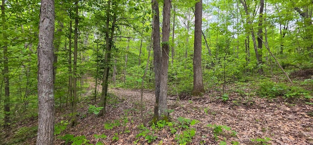 32325 Red Hill Road (Phase I Tract 1A Big Timber), Langsville, OH 45741