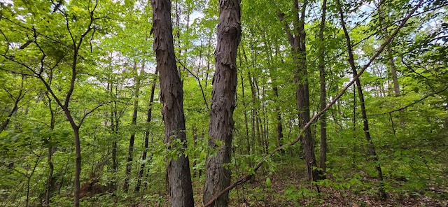 32325 Red Hill Road (Phase I Tract 1A Big Timber), Langsville, OH 45741