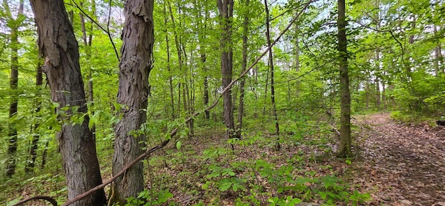 32325 Red Hill Road (Phase I Tract 1A Big Timber), Langsville, OH 45741