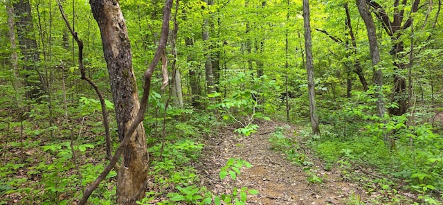 32325 Red Hill Road (Phase I Tract 1A Big Timber), Langsville, OH 45741