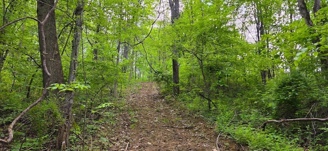 32325 Red Hill Road (Phase I Tract 1A Big Timber), Langsville, OH 45741