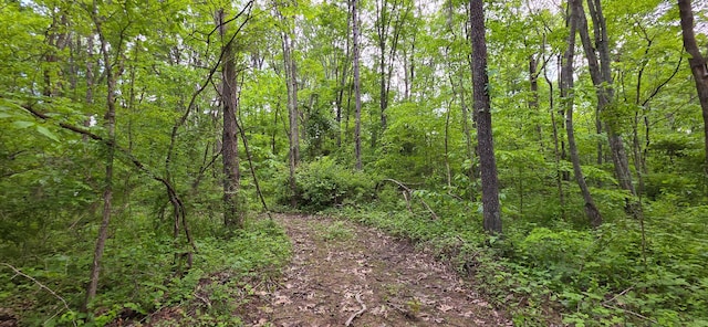 32325 Red Hill Road (Phase I Tract 1A Big Timber), Langsville, OH 45741