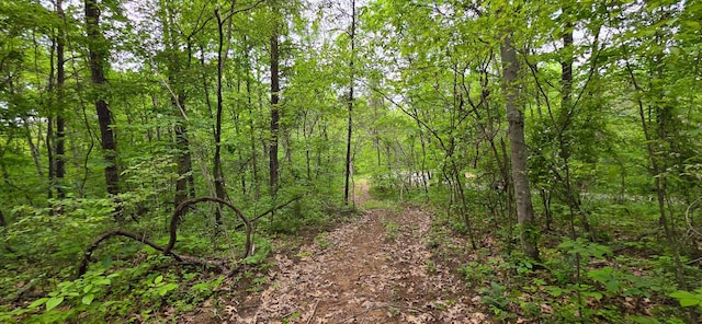 32325 Red Hill Road (Phase I Tract 1A Big Timber), Langsville, OH 45741