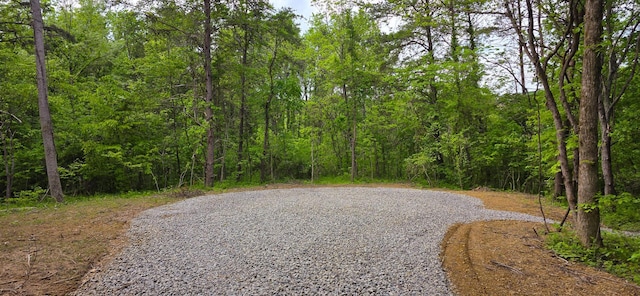 32325 Red Hill Road (Phase I Tract 1A Big Timber), Langsville, OH 45741