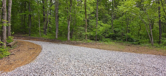 32325 Red Hill Road (Phase I Tract 1A Big Timber), Langsville, OH 45741