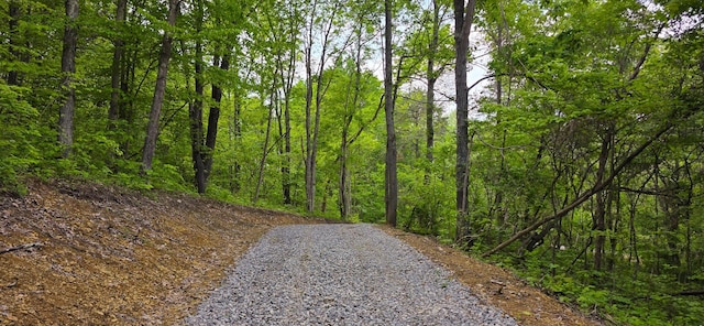 32325 Red Hill Road (Phase I Tract 1A Big Timber), Langsville, OH 45741