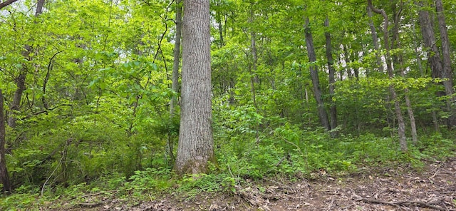32325 Red Hill Road (Phase I Tract 1A Big Timber), Langsville, OH 45741