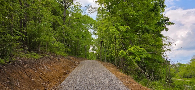 32325 Red Hill Road (Phase I Tract 1A Big Timber), Langsville, OH 45741