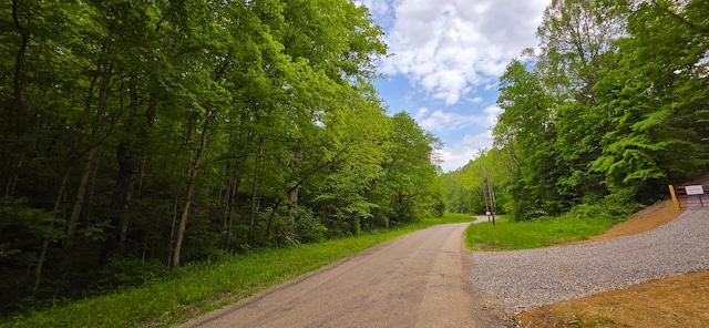32325 Red Hill Road (Phase I Tract 1A Big Timber), Langsville, OH 45741