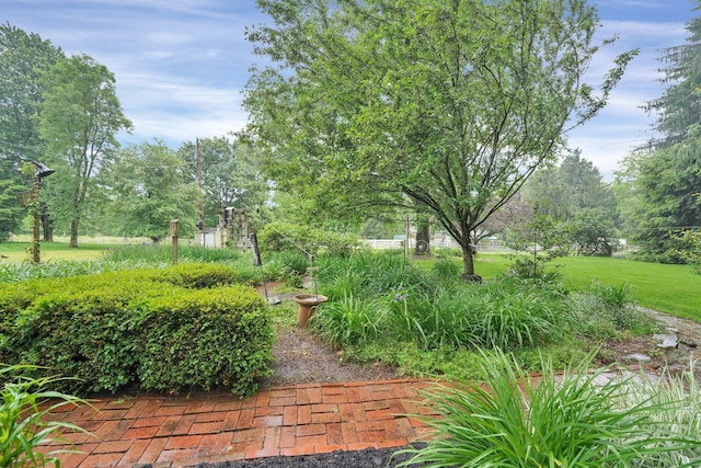 75 Edgewood Dr, Granville, OH 43023 - photo 36