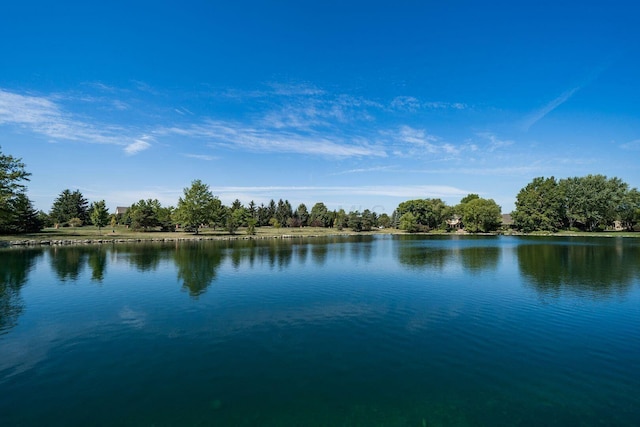 9440 Culross Ct, Dublin, OH 43017 - water view