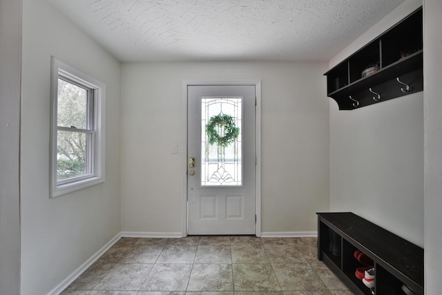 5255 Dory Ln, Columbus, OH 43235 - mudroom with plenty of natural light, a textured ceiling, and baseboards