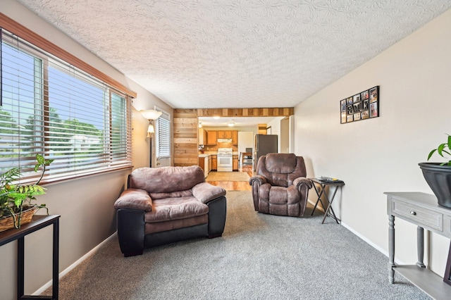 6588 Ethan Dr, Reynoldsburg, OH 43068 - living area with a textured ceiling, healthy amount of natural light, carpet flooring, and baseboards