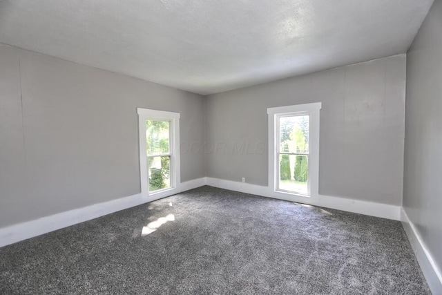 12 Montgomery Rd, Fredericktown, OH 43019 - empty room with plenty of natural light, carpet floors, and baseboards