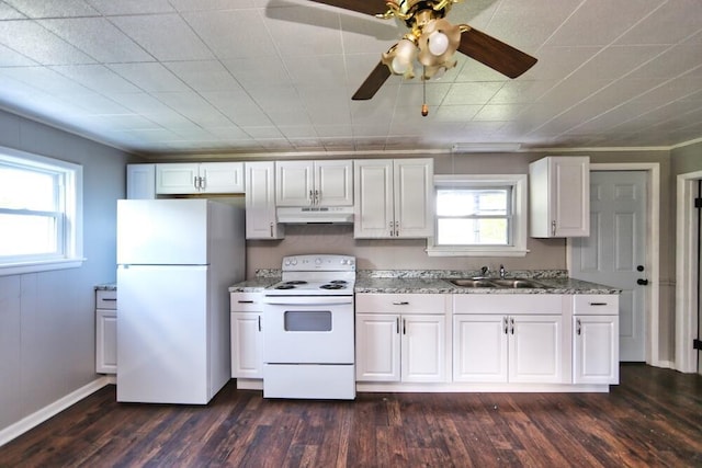 12 Montgomery Rd, Fredericktown, OH 43019 - kitchen with white appliances, under cabinet range hood, a sink, and plenty of natural light