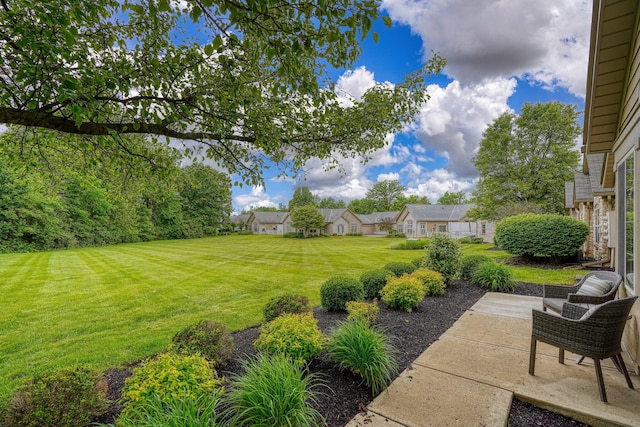 6973 Falls View Cir, Delaware, OH 43015 - view of green lawn with a patio