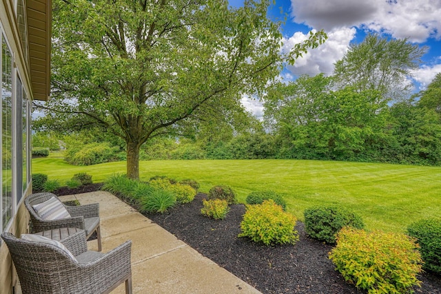 6973 Falls View Cir, Delaware, OH 43015 - view of grassy yard featuring view of scattered trees