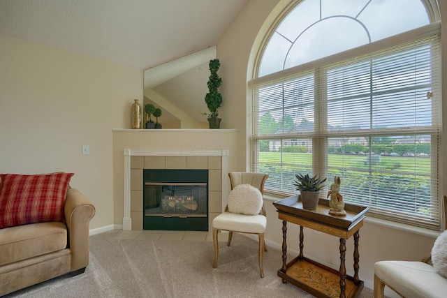 6973 Falls View Cir, Delaware, OH 43015 - living area featuring carpet, healthy amount of natural light, and a tiled fireplace