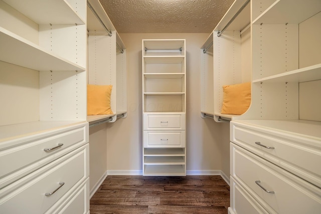 6973 Falls View Cir, Delaware, OH 43015 - spacious closet with dark wood-style floors