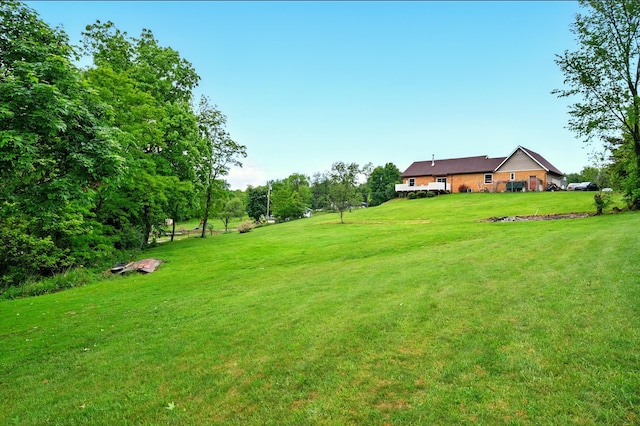 19160 Coshocton Rd, Mount Vernon, OH 43050 - view of grassy yard