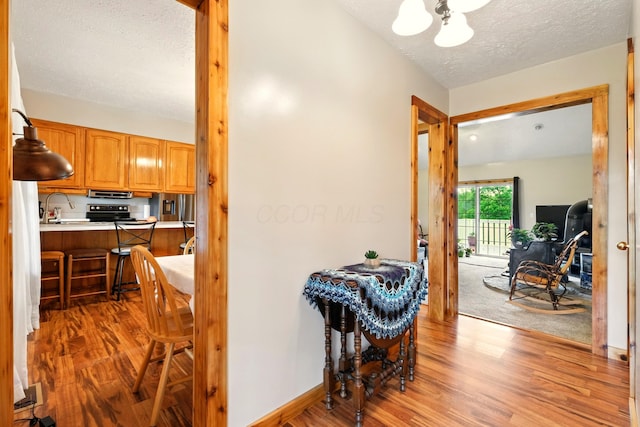 19160 Coshocton Rd, Mount Vernon, OH 43050 - corridor featuring light wood-style flooring, a chandelier, a textured ceiling, and a sink