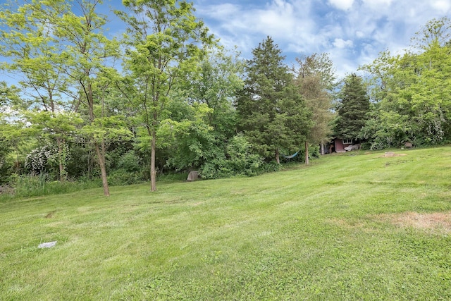 2149 Baptist Hill Rd, Chillicothe, OH 45601 - view of green lawn