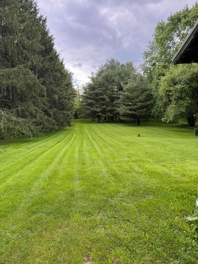 627 N Main St, Utica, OH 43080 - view of green lawn