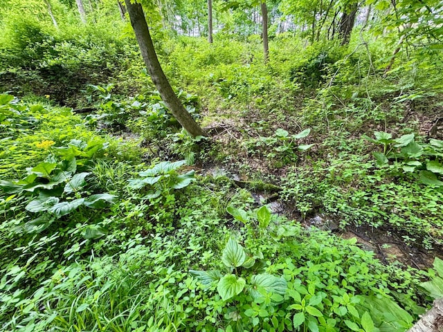29186 Aspen Rd, Frazeysburg, OH 43822