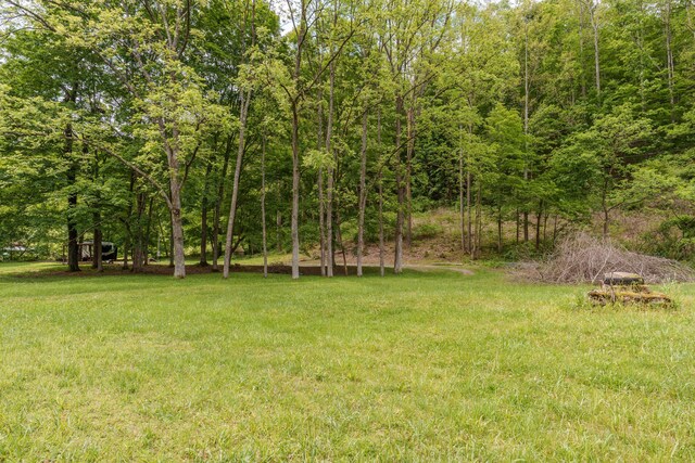32905 Graves Rd, Londonderry, OH 45647 - photo 10
