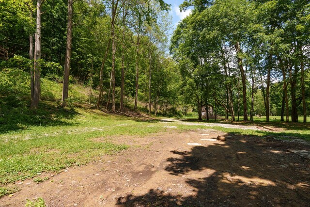 32905 Graves Rd, Londonderry, OH 45647 - photo 11